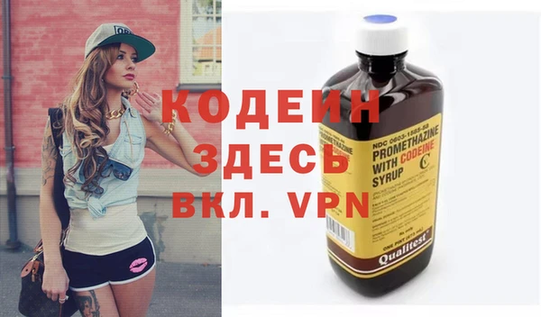 ECSTASY Богданович