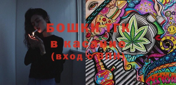 прущие грибы Богородск