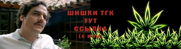 mix Богородицк
