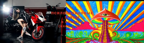 винт Беломорск