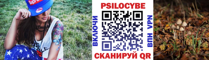 Псилоцибиновые грибы прущие грибы  Верещагино 